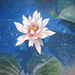 Kosuke Karimata Gallery